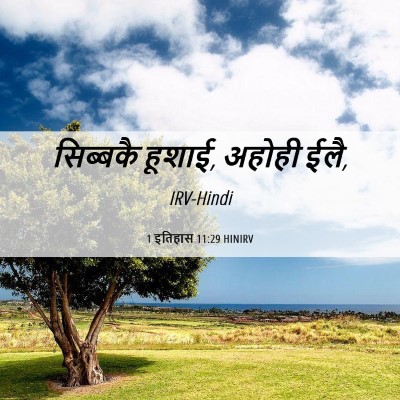 Picture 06 - 1 इतिहास 11:29 HINIRV - सिब्बकै हूशाई, - Bible Verse Picture