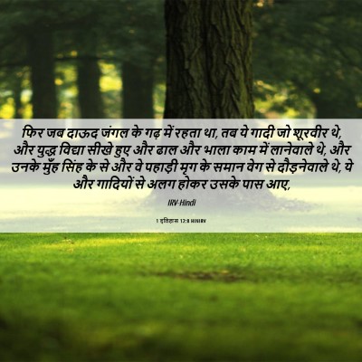 Picture 06 - 1 इतिहास 12:8 HINIRV - फिर जब दाऊद जंगल के - Bible Verse Picture