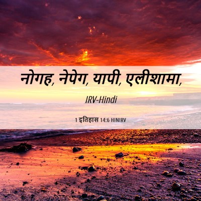 Picture 06 - 1 इतिहास 14:6 HINIRV - नोगह, नेपेग, यापी, - Bible Verse Picture