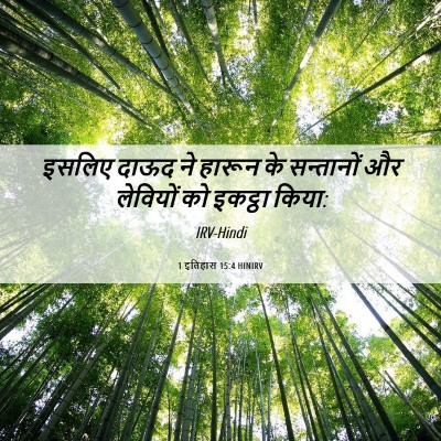 Picture 06 - 1 इतिहास 15:4 HINIRV - इसलिए दाऊद ने - Bible Verse Picture