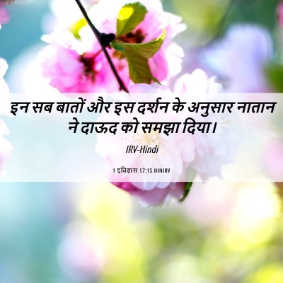 Picture 06 - 1 इतिहास 17:15 HINIRV - इन सब बातों और इस - Bible Verse Picture