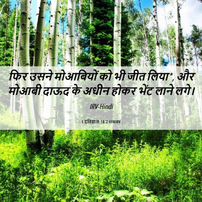 Picture 06 - 1 इतिहास 18:2 HINIRV - फिर उसने मोआबियों - Bible Verse Picture