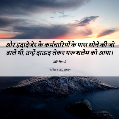 Picture 06 - 1 इतिहास 18:7 HINIRV - और हदादेजेर के - Bible Verse Picture