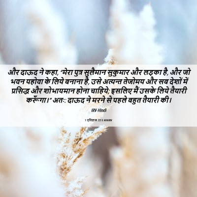 Picture 06 - 1 इतिहास 22:5 HINIRV - और दाऊद ने कहा, - Bible Verse Picture