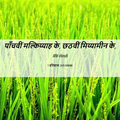 Picture 06 - 1 इतिहास 24:9 HINIRV - पाँचवीं - Bible Verse Picture