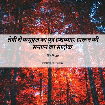 Picture 06 - 1 इतिहास 27:17 HINIRV - लेवी से कमूएल का - Bible Verse Picture