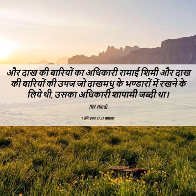 Picture 06 - 1 इतिहास 27:27 HINIRV - और दाख की बारियों - Bible Verse Picture
