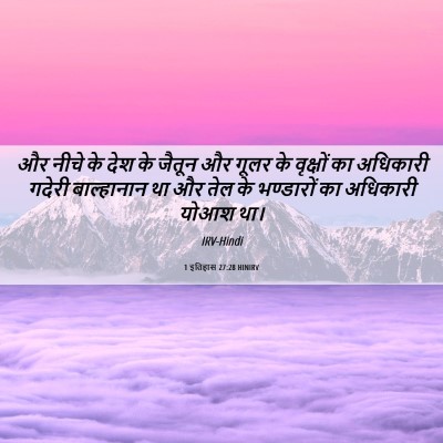 Picture 06 - 1 इतिहास 27:28 HINIRV - और नीचे के देश के - Bible Verse Picture