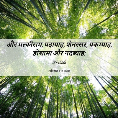 Picture 06 - 1 इतिहास 3:18 HINIRV - और मल्कीराम, - Bible Verse Picture