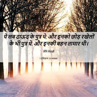 Picture 06 - 1 इतिहास 3:9 HINIRV - ये सब दाऊद के पुत्र - Bible Verse Picture