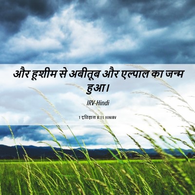 Picture 06 - 1 इतिहास 8:11 HINIRV - और हूशीम से अबीतूब - Bible Verse Picture
