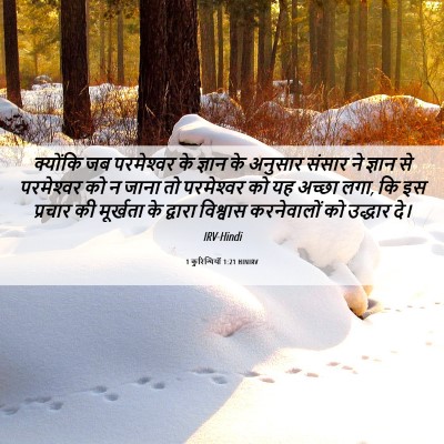 Picture 06 - 1 कुरिन्थियों 1:21 HINIRV - क्योंकि जब - Bible Verse Picture