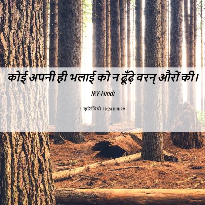 Picture 06 - 1 कुरिन्थियों 10:24 HINIRV - कोई अपनी ही भलाई को - Bible Verse Picture
