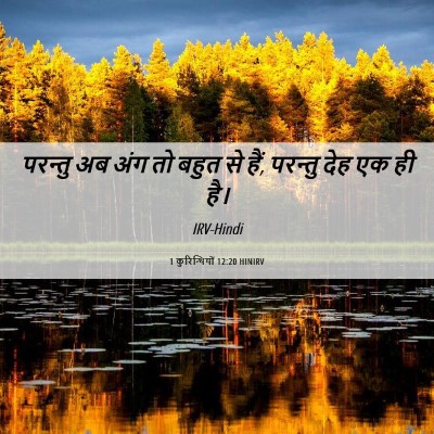 Picture 06 - 1 कुरिन्थियों 12:20 HINIRV - परन्तु अब अंग तो - Bible Verse Picture
