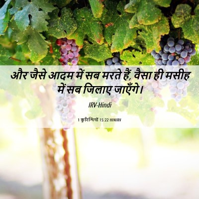 Picture 06 - 1 कुरिन्थियों 15:22 HINIRV - और जैसे आदम में सब - Bible Verse Picture