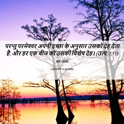 Picture 06 - 1 कुरिन्थियों 15:38 HINIRV - परन्तु परमेश्‍वर - Bible Verse Picture