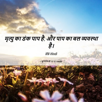 Picture 06 - 1 कुरिन्थियों 15:56 HINIRV - मृत्यु का डंक पाप - Bible Verse Picture