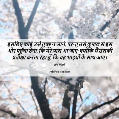 Picture 06 - 1 कुरिन्थियों 16:11 HINIRV - इसलिए कोई उसे - Bible Verse Picture