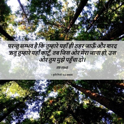 Picture 06 - 1 कुरिन्थियों 16:6 HINIRV - परन्तु सम्भव है कि - Bible Verse Picture