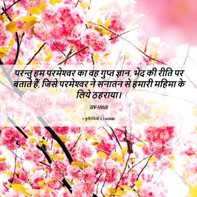 Picture 06 - 1 कुरिन्थियों 2:7 HINIRV - परन्तु हम - Bible Verse Picture