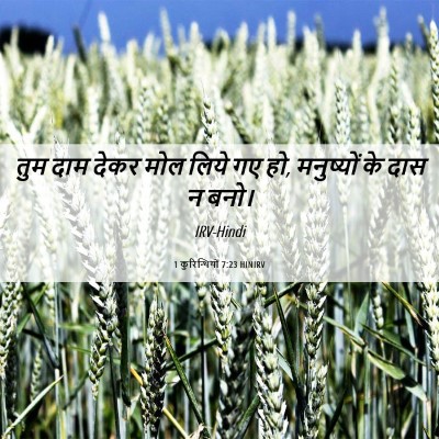 Picture 06 - 1 कुरिन्थियों 7:23 HINIRV - तुम दाम देकर मोल - Bible Verse Picture