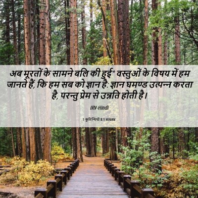 Picture 06 - 1 कुरिन्थियों 8:1 HINIRV - अब मूरतों के सामने - Bible Verse Picture