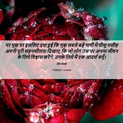Picture 06 - 1 तीमुथियुस 1:16 HINIRV - पर मुझ पर इसलिए दया - Bible Verse Picture
