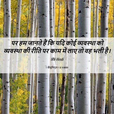 Picture 06 - 1 तीमुथियुस 1:8 HINIRV - पर हम जानते हैं कि - Bible Verse Picture