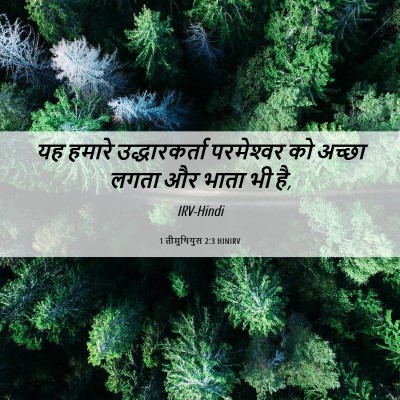 Picture 06 - 1 तीमुथियुस 2:3 HINIRV - यह हमारे - Bible Verse Picture