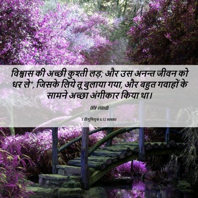 Picture 06 - 1 तीमुथियुस 6:12 HINIRV - विश्वास की अच्छी - Bible Verse Picture