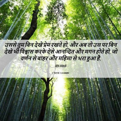 Picture 06 - 1 पतरस 1:8 HINIRV - उससे तुम बिन देखे - Bible Verse Picture