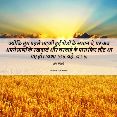 Picture 06 - 1 पतरस 2:25 HINIRV - क्योंकि तुम पहले - Bible Verse Picture