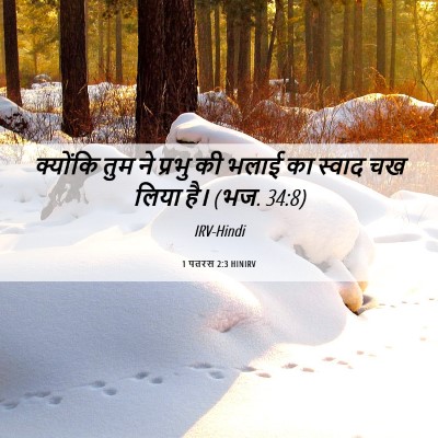 Picture 06 - 1 पतरस 2:3 HINIRV - क्योंकि तुम ने - Bible Verse Picture