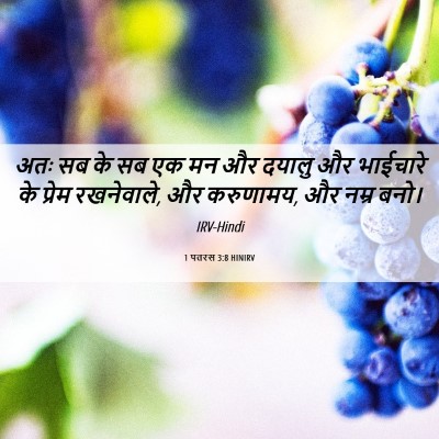 Picture 06 - 1 पतरस 3:8 HINIRV - अतः सब के सब एक मन - Bible Verse Picture