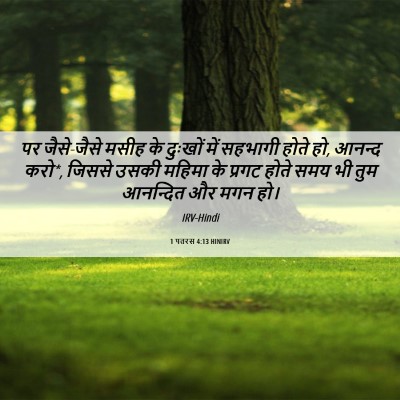 Picture 06 - 1 पतरस 4:13 HINIRV - पर जैसे-जैसे मसीह - Bible Verse Picture