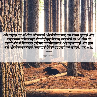Picture 06 - 1 यूहन्ना 2:27 HINIRV - और तुम्हारा वह - Bible Verse Picture