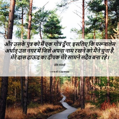Picture 06 - 1 राजाओं 11:36 HINIRV - और उसके पुत्र को - Bible Verse Picture