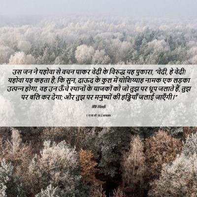 Picture 06 - 1 राजाओं 13:2 HINIRV - उस जन ने यहोवा से - Bible Verse Picture