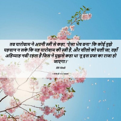 Picture 06 - 1 राजाओं 14:2 HINIRV - तब यारोबाम ने अपनी - Bible Verse Picture