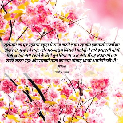 Picture 06 - 1 राजाओं 14:21 HINIRV - सुलैमान का पुत्र - Bible Verse Picture