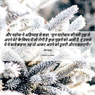 Picture 06 - 1 राजाओं 14:5 HINIRV - और यहोवा ने - Bible Verse Picture