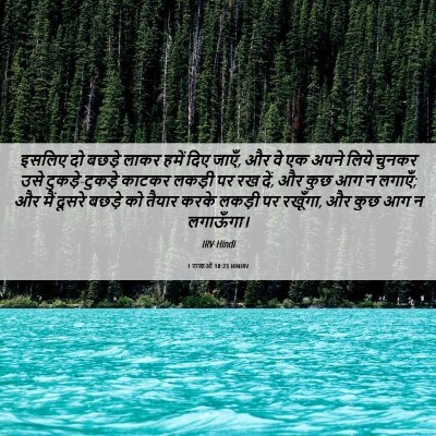 Picture 06 - 1 राजाओं 18:23 HINIRV - इसलिए दो बछड़े - Bible Verse Picture