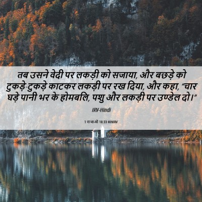 Picture 06 - 1 राजाओं 18:33 HINIRV - तब उसने वेदी पर - Bible Verse Picture