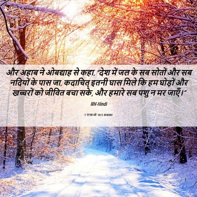 Picture 06 - 1 राजाओं 18:5 HINIRV - और अहाब ने ओबद्याह - Bible Verse Picture