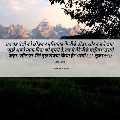 Picture 06 - 1 राजाओं 19:20 HINIRV - तब वह बैलों को - Bible Verse Picture