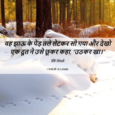 Picture 06 - 1 राजाओं 19:5 HINIRV - वह झाऊ के पेड़ तले - Bible Verse Picture