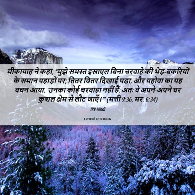 Picture 06 - 1 राजाओं 22:17 HINIRV - मीकायाह ने कहा, - Bible Verse Picture