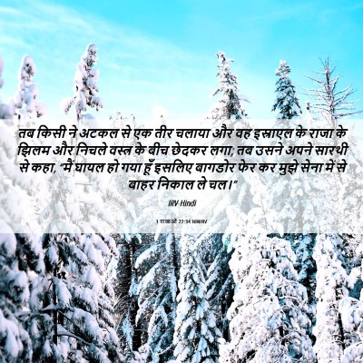 Picture 06 - 1 राजाओं 22:34 HINIRV - तब किसी ने अटकल से - Bible Verse Picture
