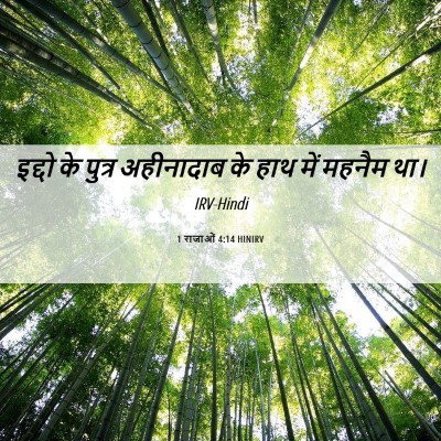 Picture 06 - 1 राजाओं 4:14 HINIRV - इद्दो के पुत्र - Bible Verse Picture