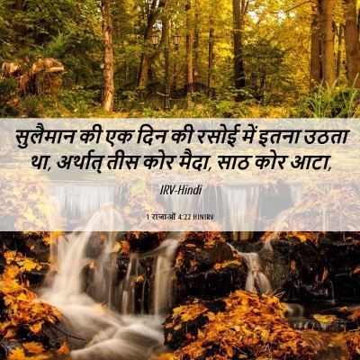Picture 06 - 1 राजाओं 4:22 HINIRV - सुलैमान की एक दिन - Bible Verse Picture
